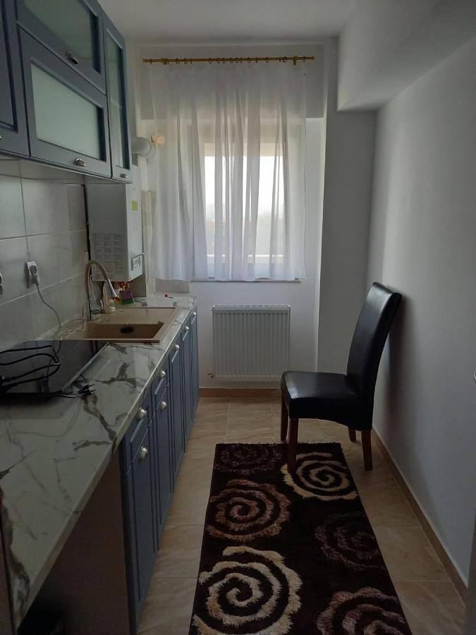 Iasi David'S Apartments - Breakfast Εξωτερικό φωτογραφία